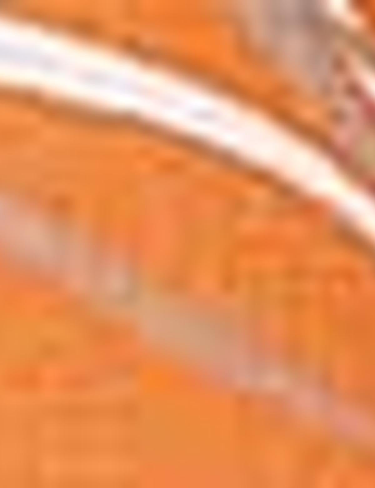 Nar Çiçeği Desenli Elbise - 50201930017