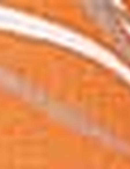 Nar Çiçeği Desenli Elbise - 50201930017