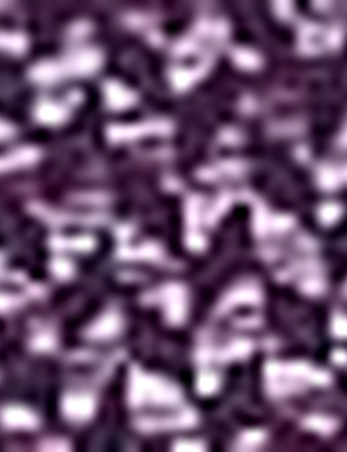 Mor Slim Fit Tişört - 50201964010