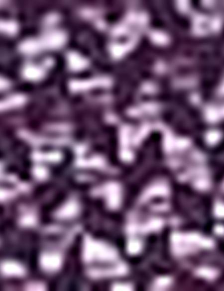 Mor Slim Fit Tişört - 50201964010