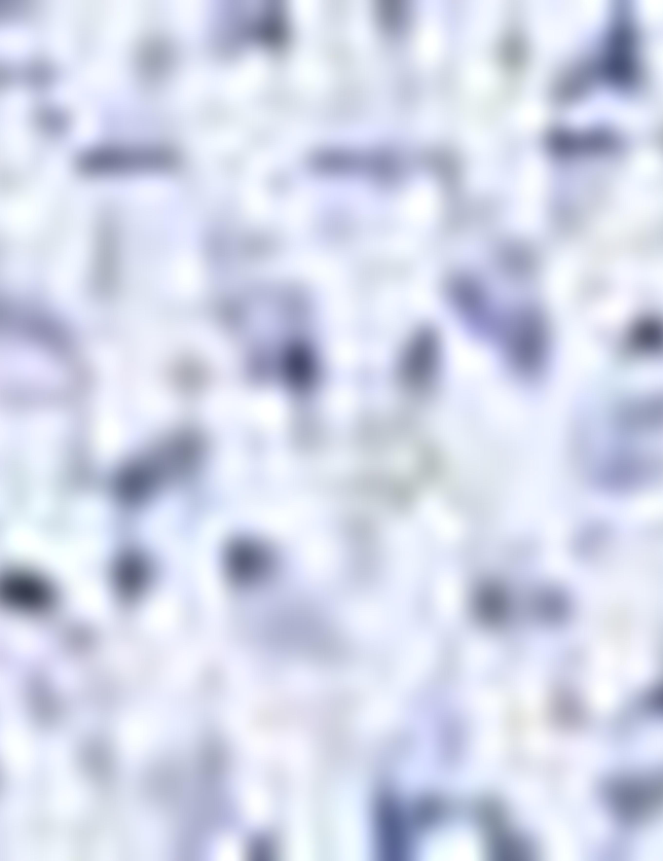 Saks Slim Fit Tişört