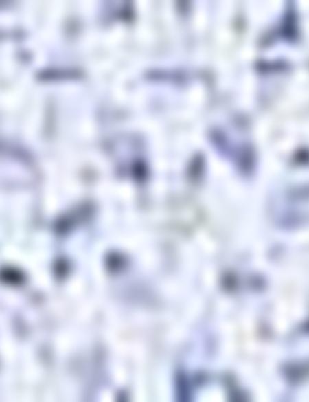 Saks Slim Fit Tişört - 50201964019