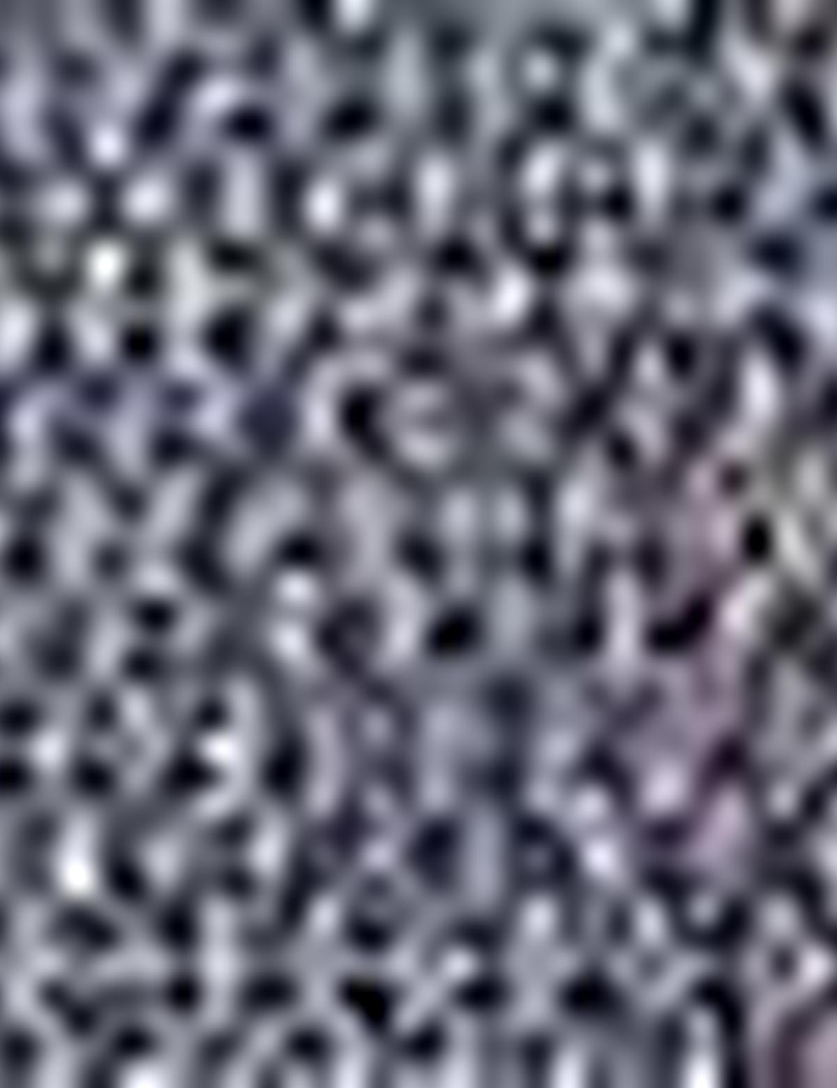 Gri Slim Fit Ceket - 50201996005