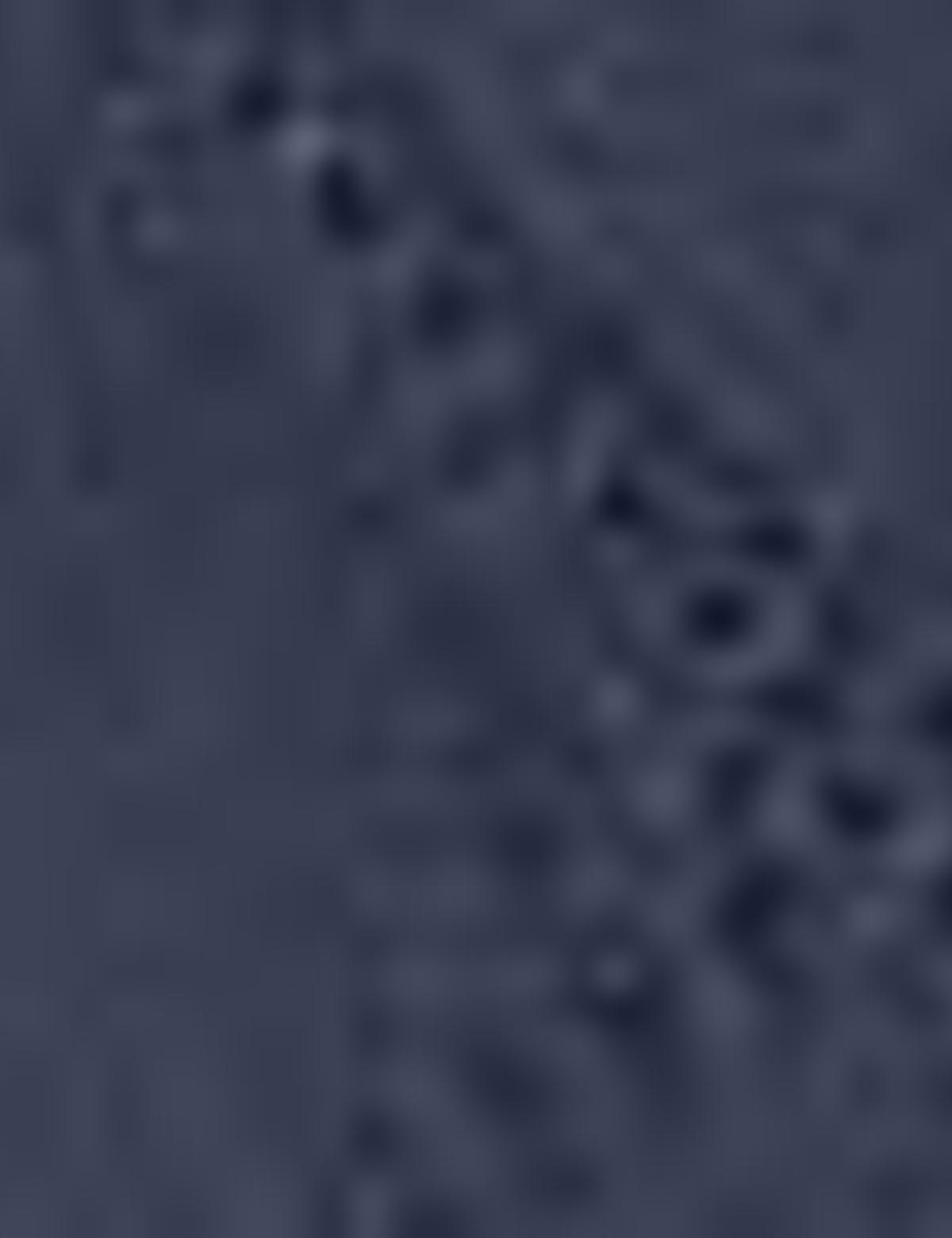 Lacivert Mont - 50202595003