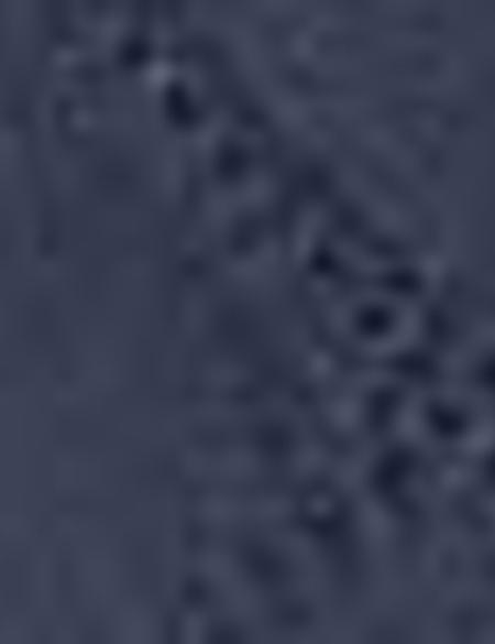 Lacivert Mont - 50202595003