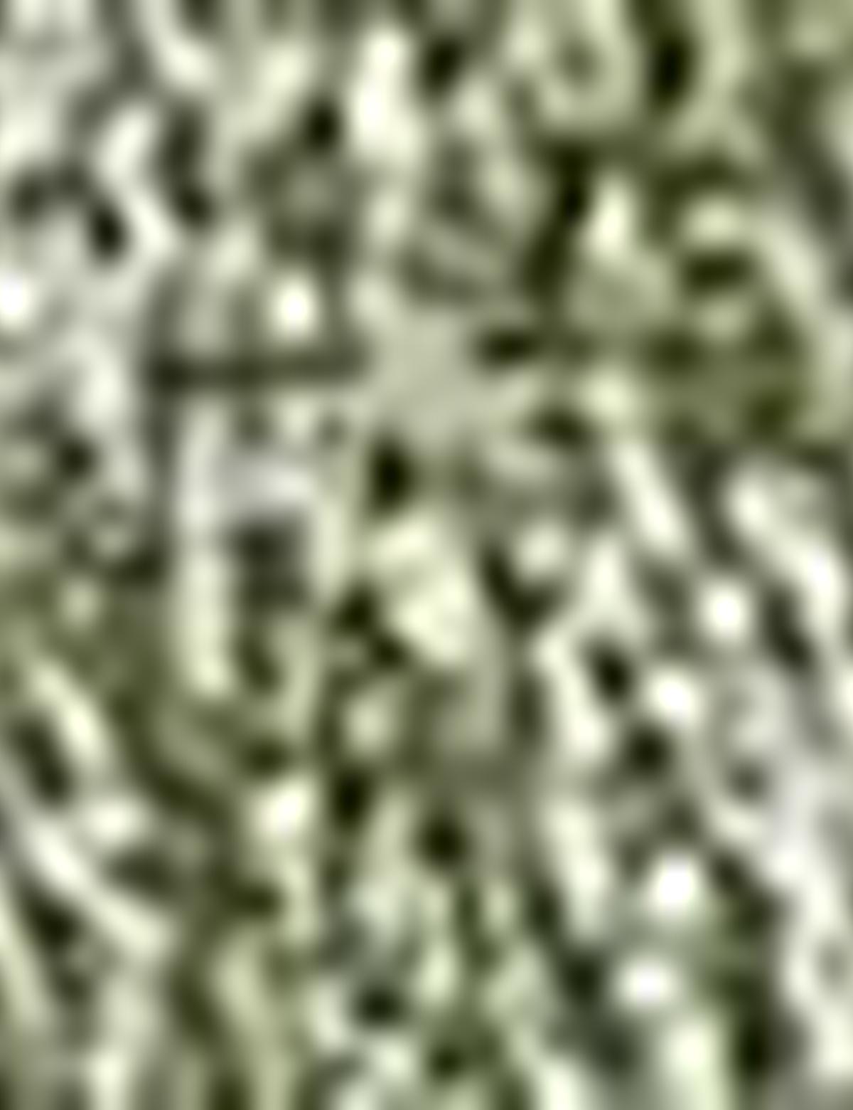 Yeşil Slim Fit Polo Yaka Tişört