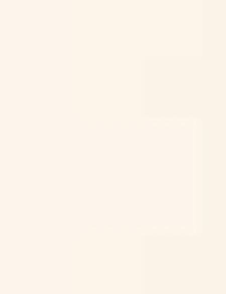 Açık Sarı Regular Fit V Yaka Tişört - 50202619077