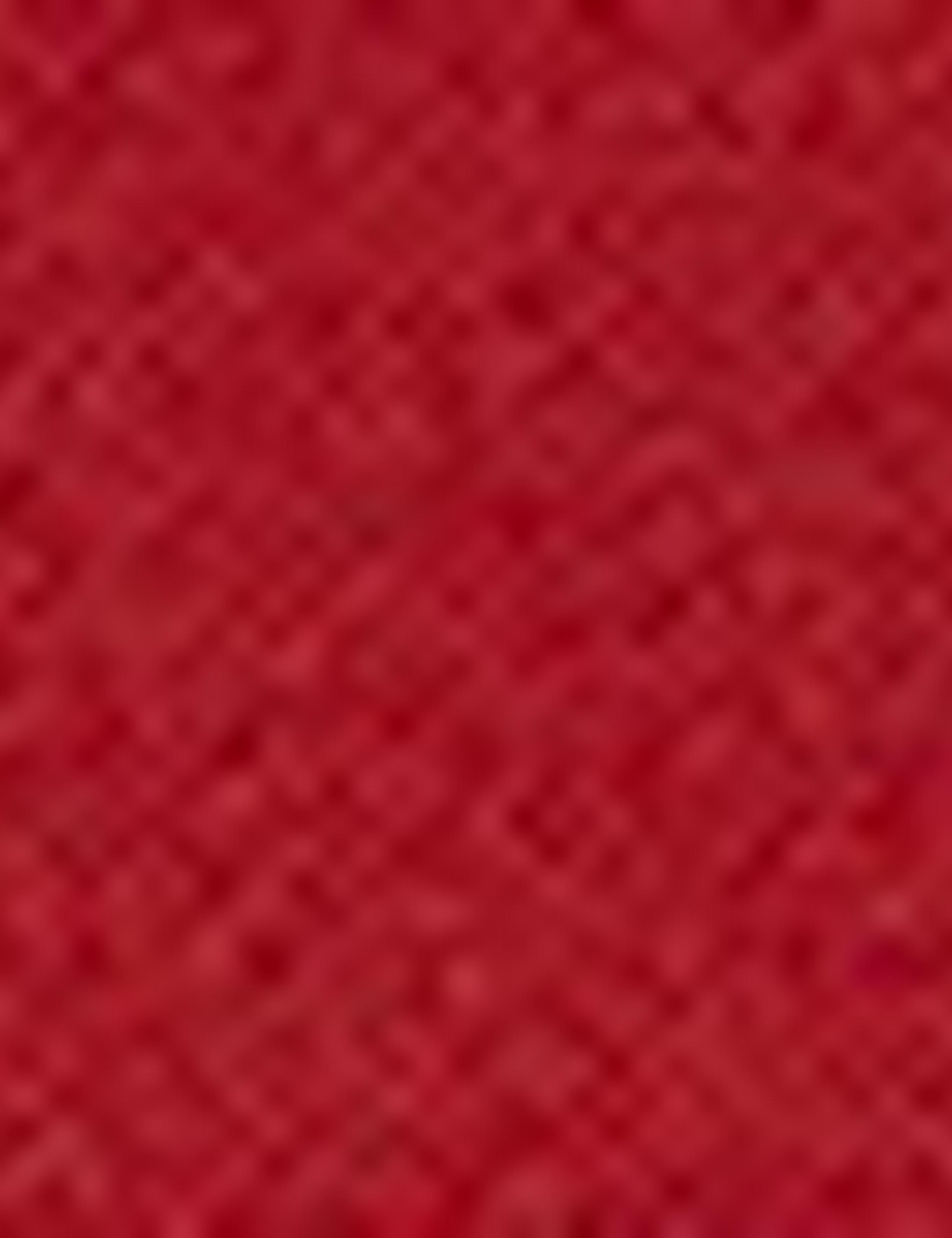 Kiremit Slim Fit Tişört