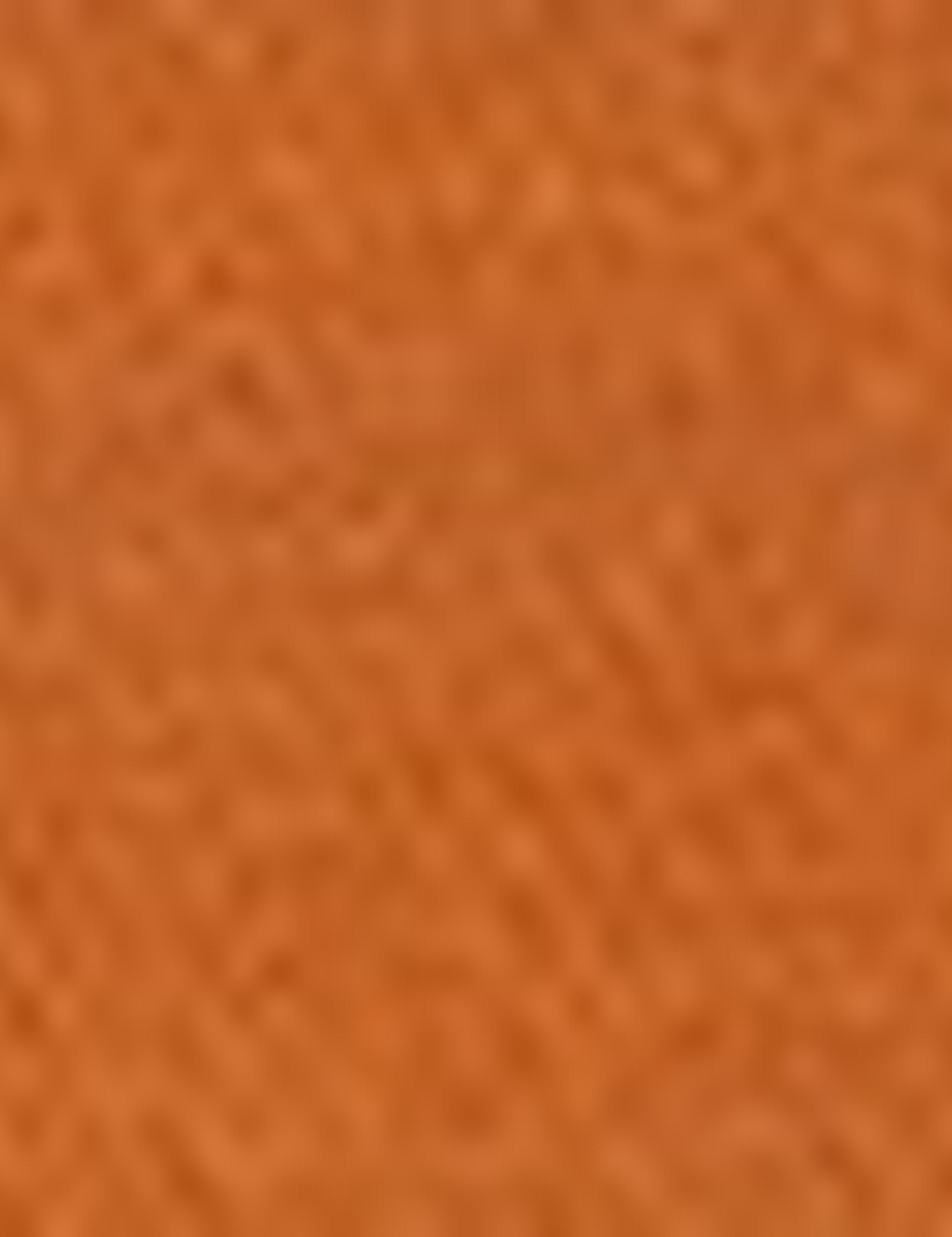 Pas Slim Fit Polo Yaka T-Shirt