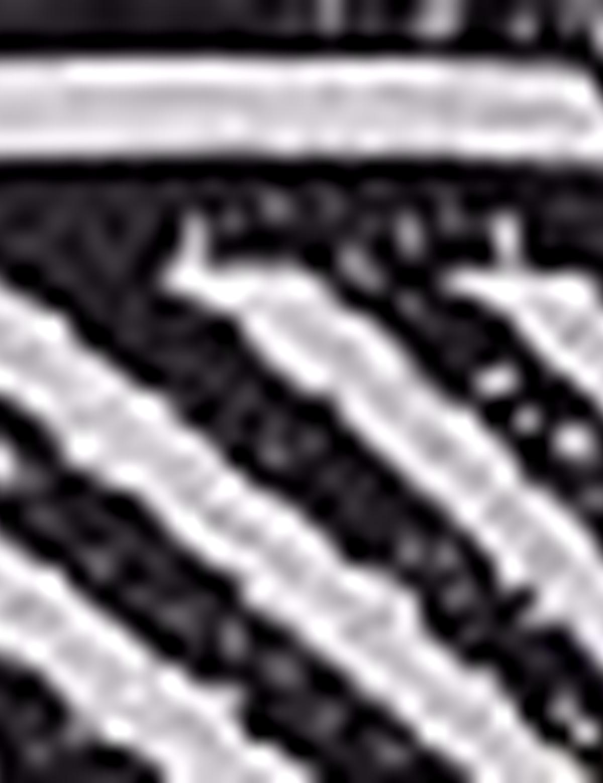 Siyah Tül Bluz - 50202639005