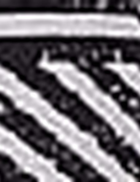 Siyah Tül Bluz - 50202639005