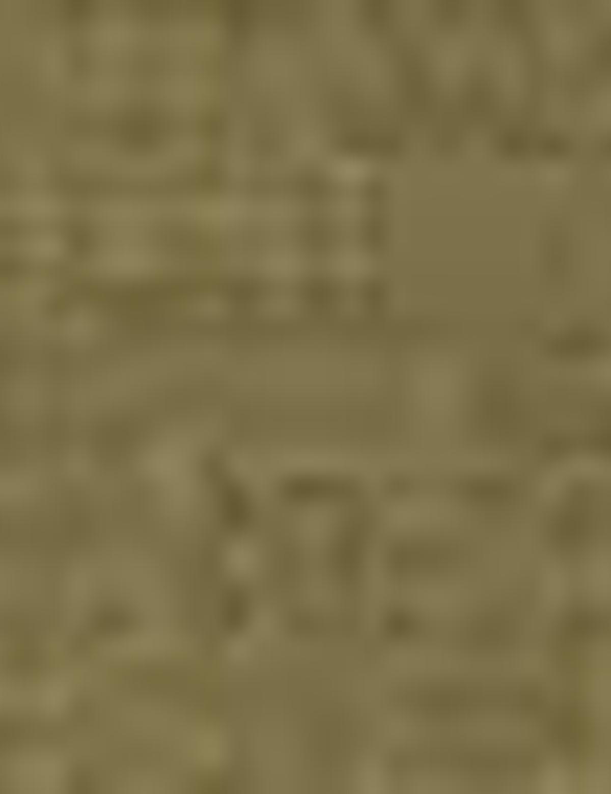 Haki Slim Fit Keten Karışımlı Gömlek - 50202802039