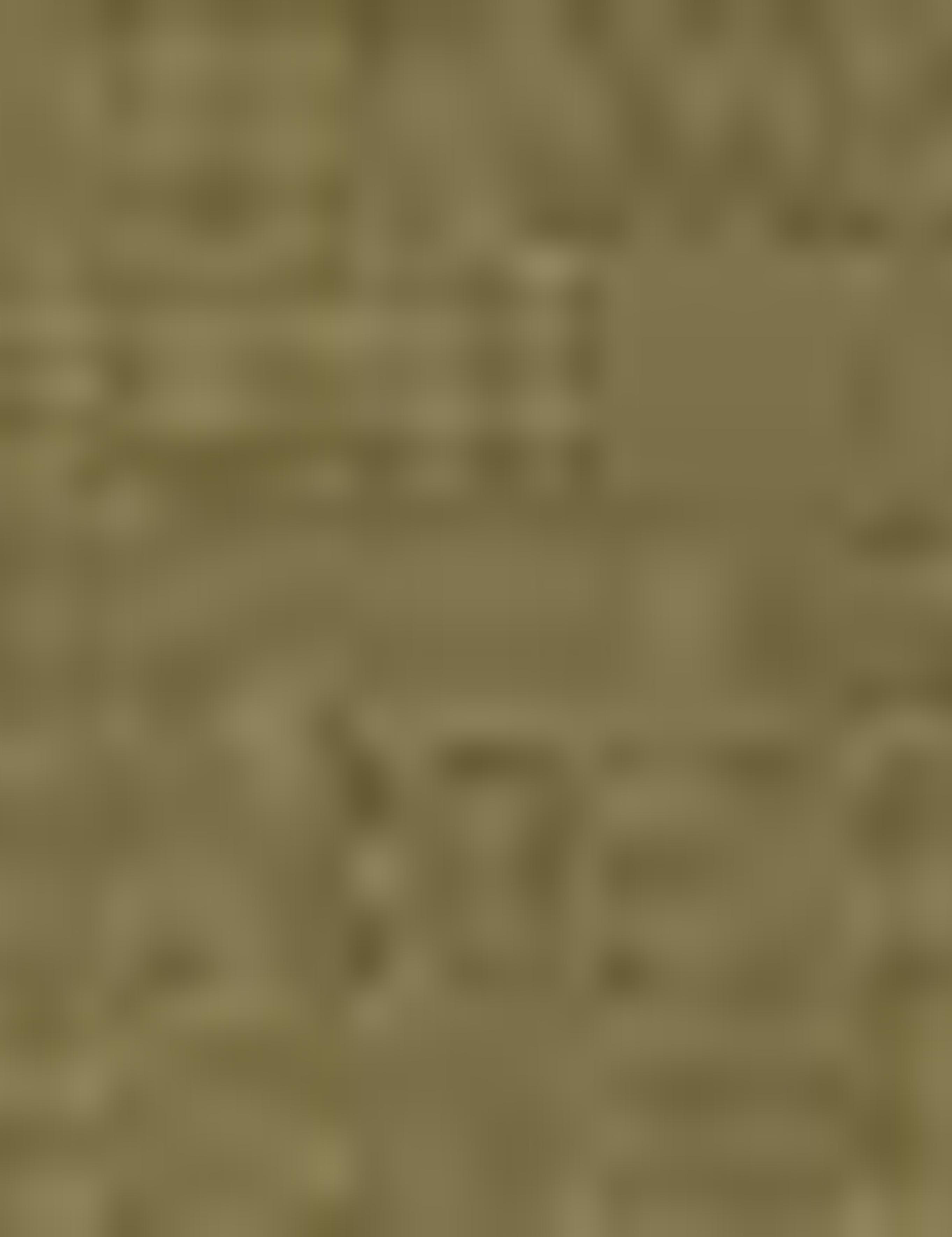 Haki Slim Fit Keten Karışımlı Gömlek