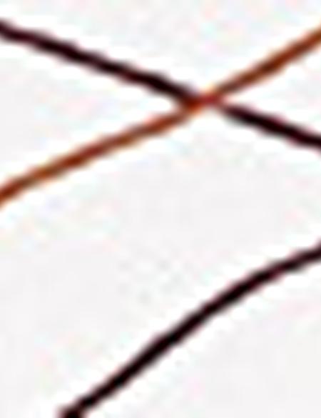 Beyaz Slim Fit Polo Yaka T-Shirt - 50202816022