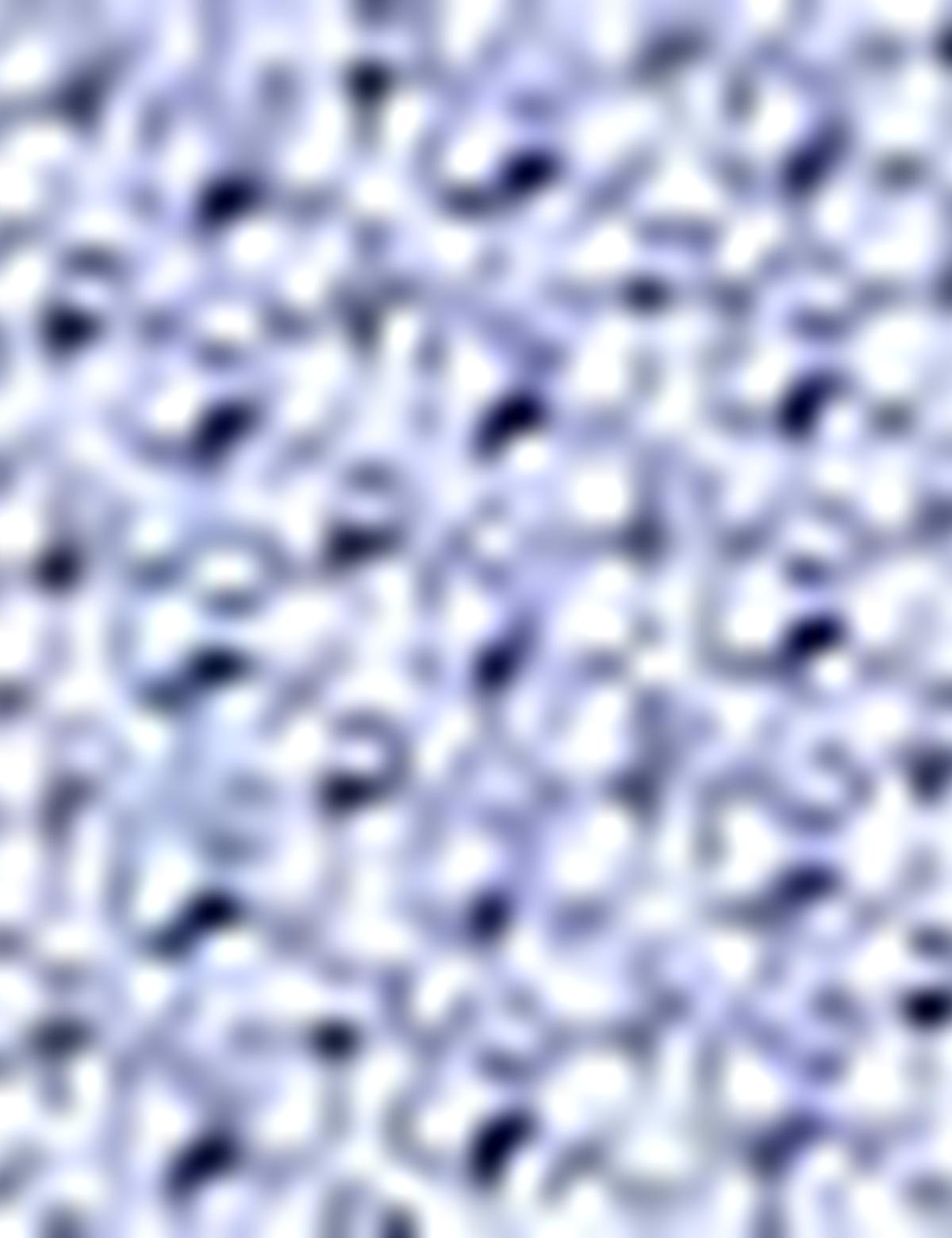 Mavi Regular Fit Kısa Kollu Gömlek - 50202825008