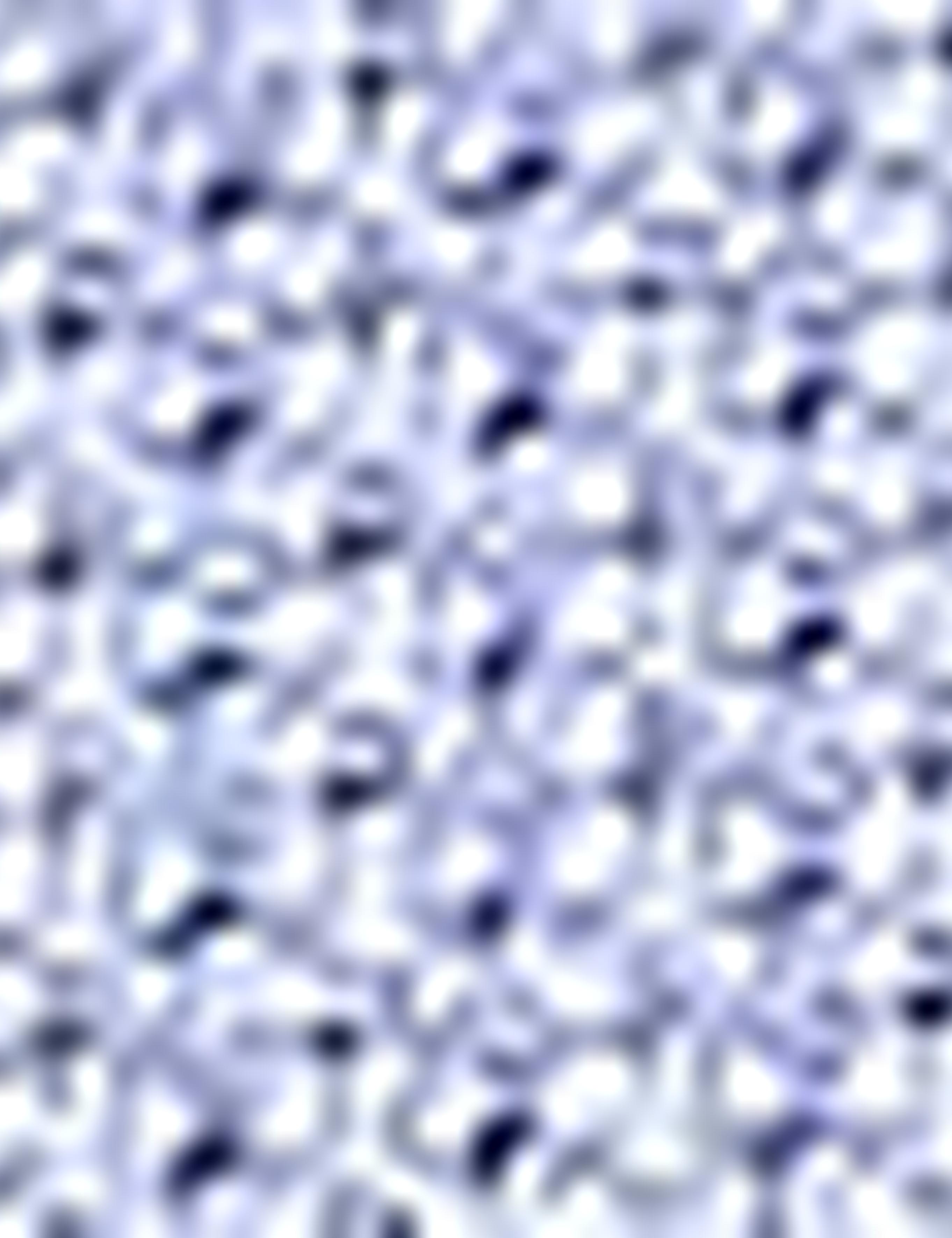 Mavi Regular Fit Kısa Kollu Gömlek