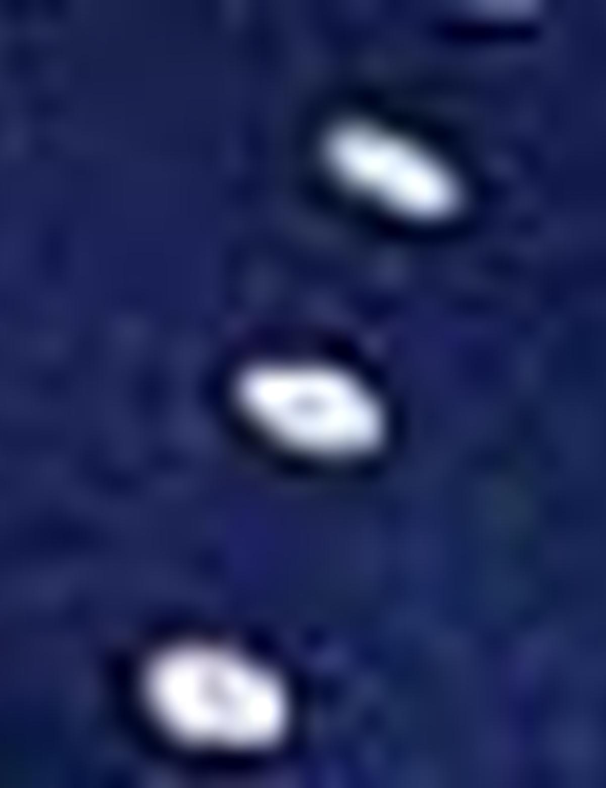 Lacivert Dokuma Elbise - 50202826010