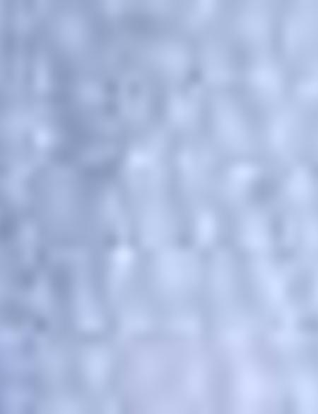 Açık Mavi Kısa Kollu Gömlek - 50202831003