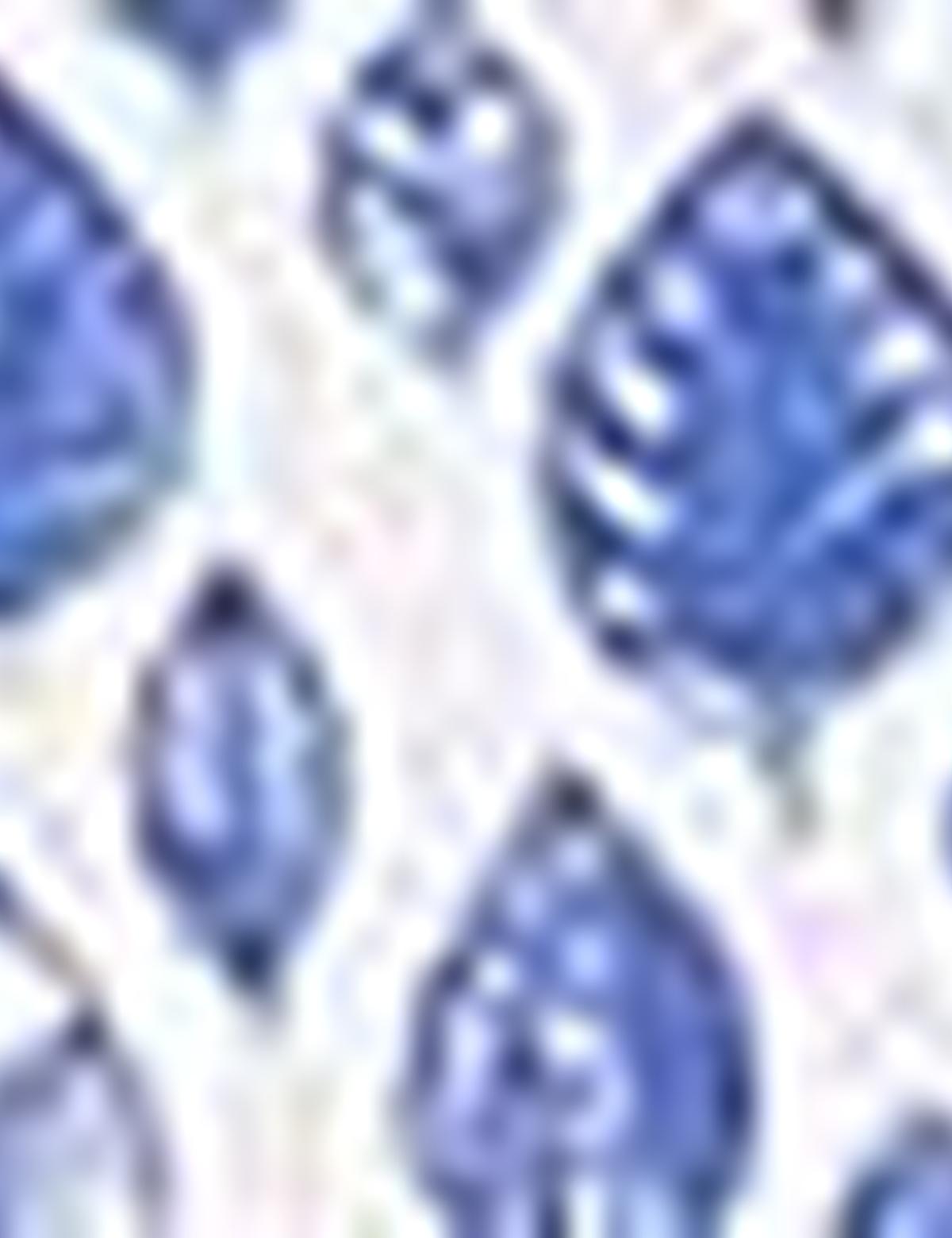 Saks Slim Fit Uzun Kollu Gömlek - 50202833011