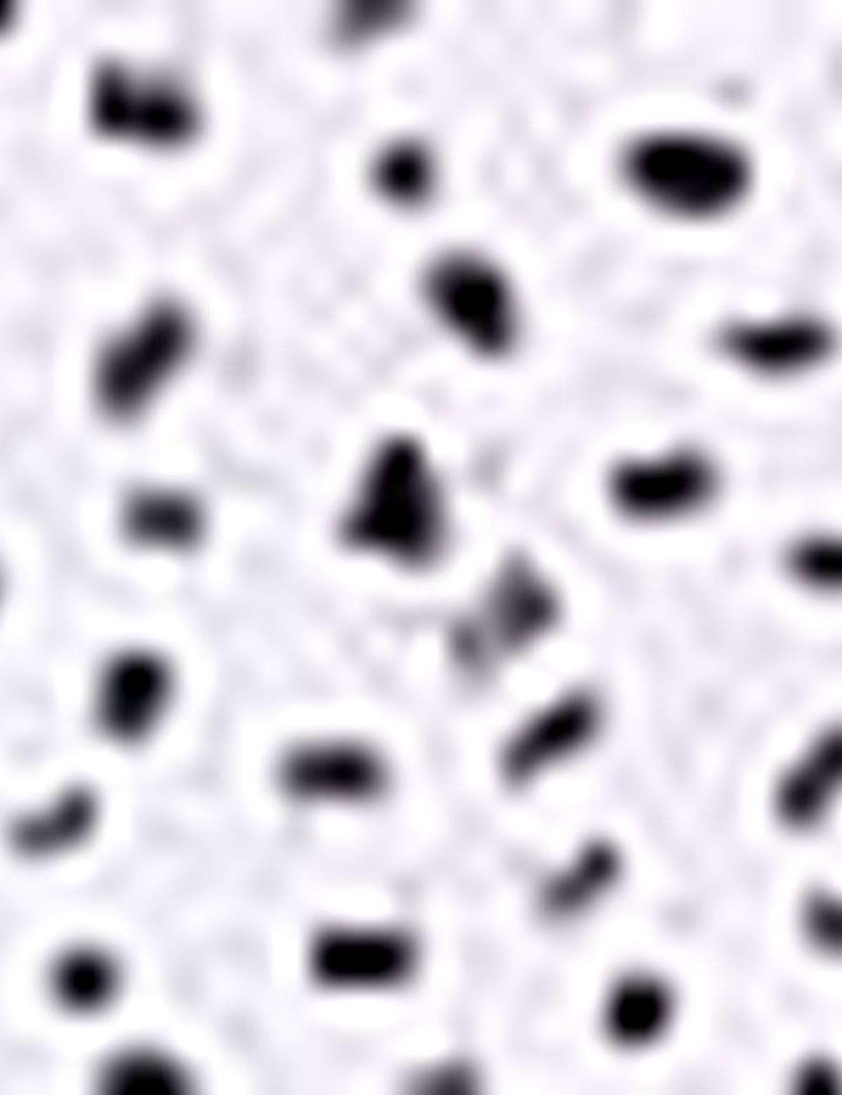 Bordo Slim Fit Uzun Kollu Gömlek - 50202838007