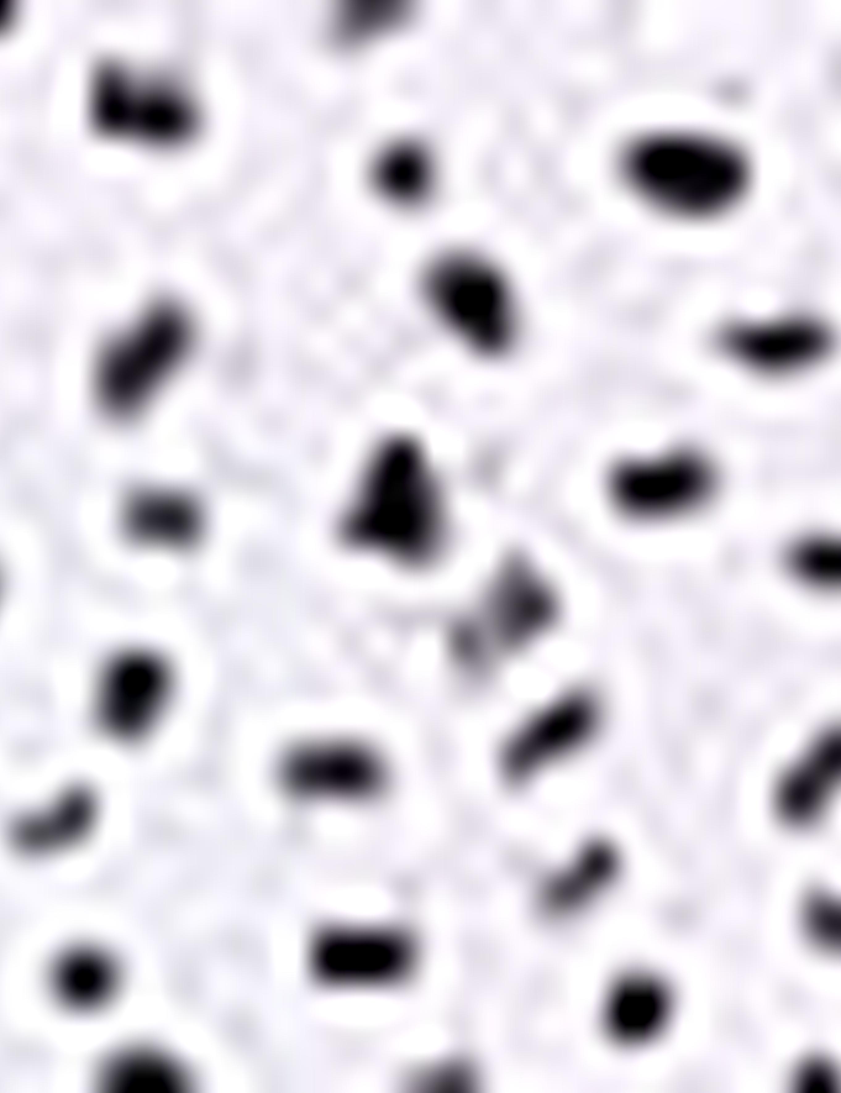 Bordo Slim Fit Uzun Kollu Gömlek