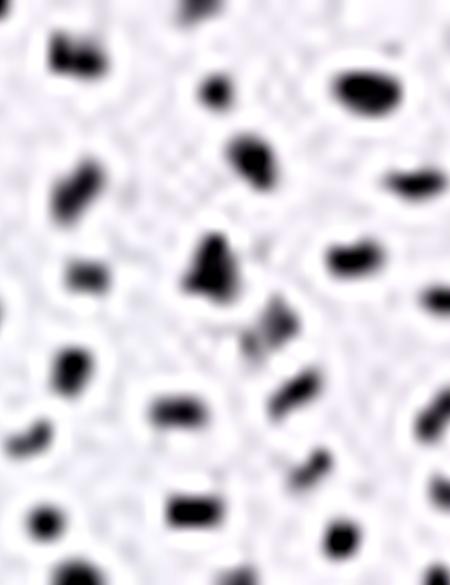 Bordo Slim Fit Uzun Kollu Gömlek - 50202838007