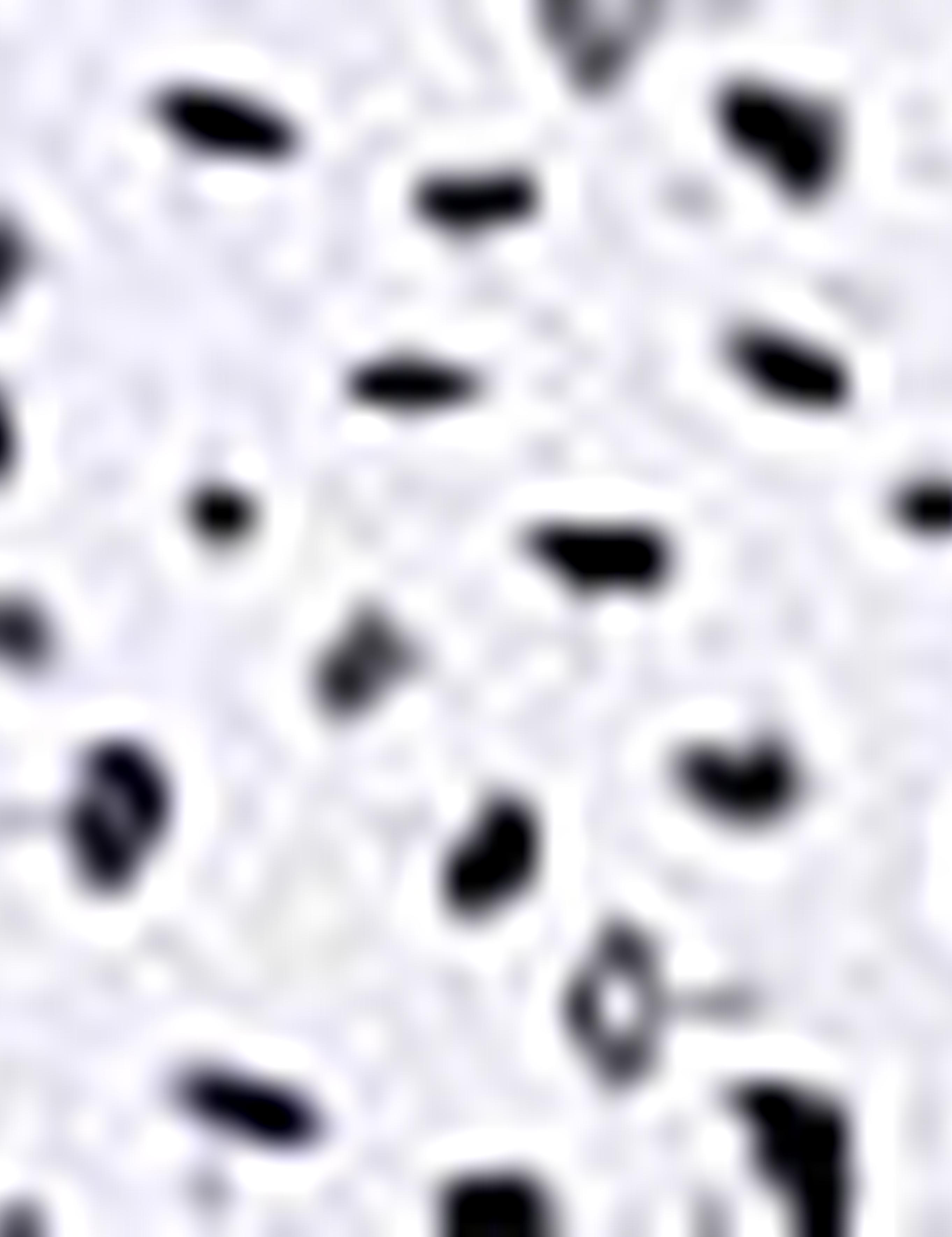 Mavi Slim Fit Uzun Kollu Gömlek