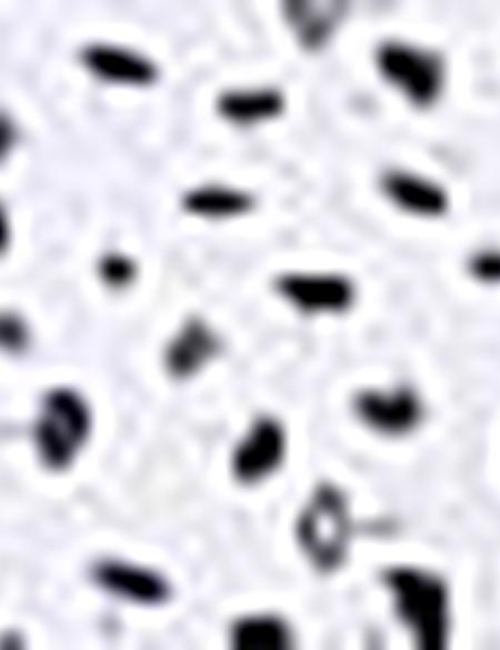 Mavi Slim Fit Uzun Kollu Gömlek - 50202838016