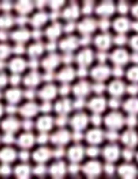 Bordo Regular Fit Polo Yaka T-Shirt - 50202843033