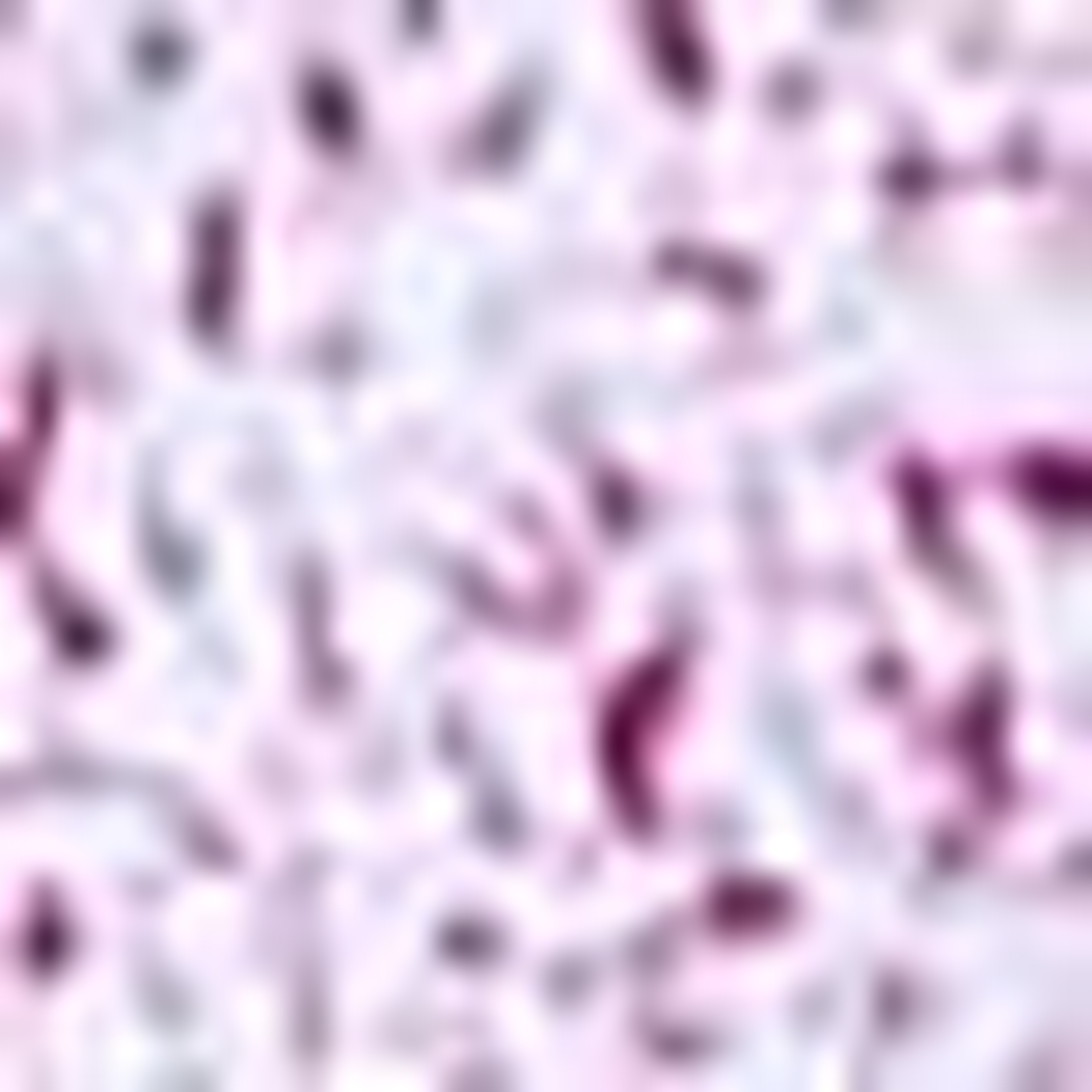 Bordo Slim Fit Uzun Kollu Gömlek - Image 7