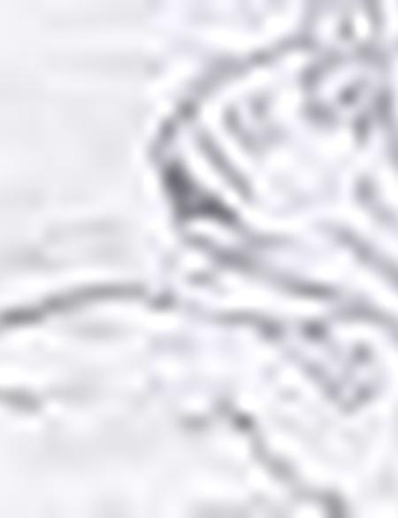 Beyaz Slim Fit Bisiklet Yaka Tişört - 50202855003