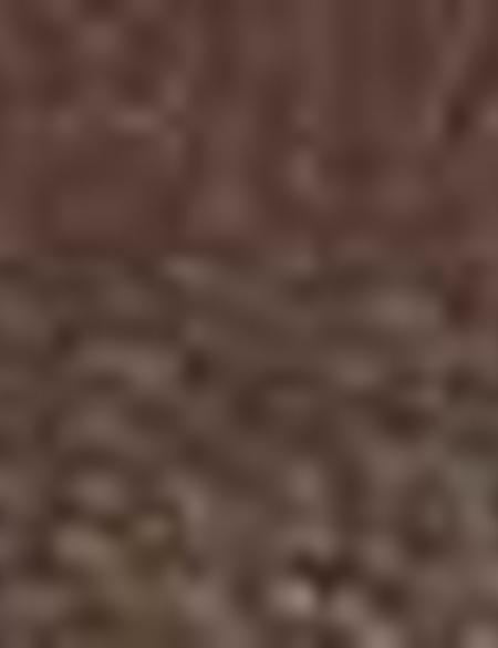 Kahverengi Oxford Ayakkabı - 50203123014