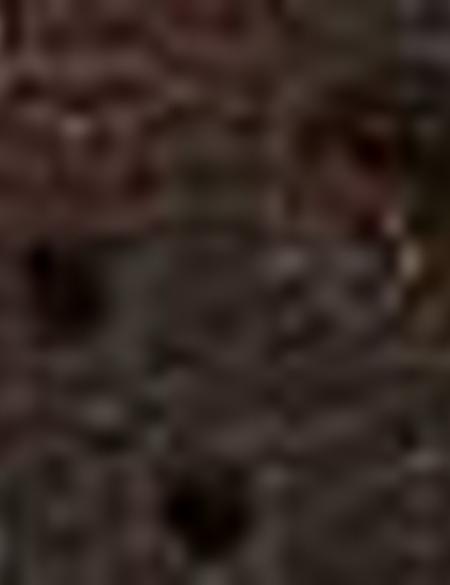 Kahverengi Ayakkabı - 50203151002