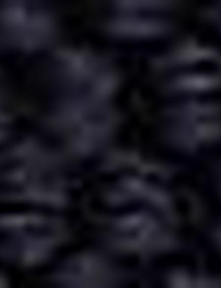 Lacivert Bot - 50203152002