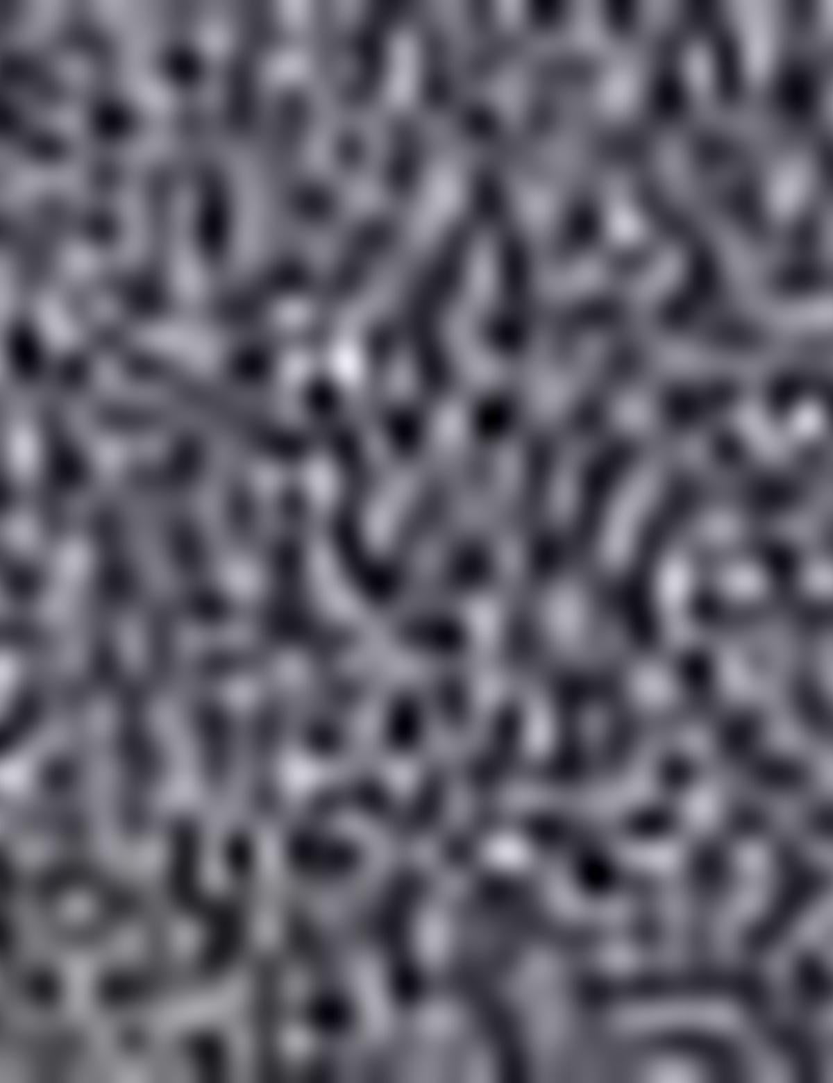 Siyah Slim Fit Ceket - 50203416055