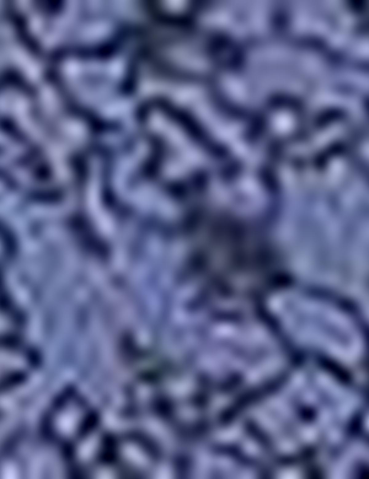 Lacivert Slim Fit Uzun Kollu Gömlek - 50203429023