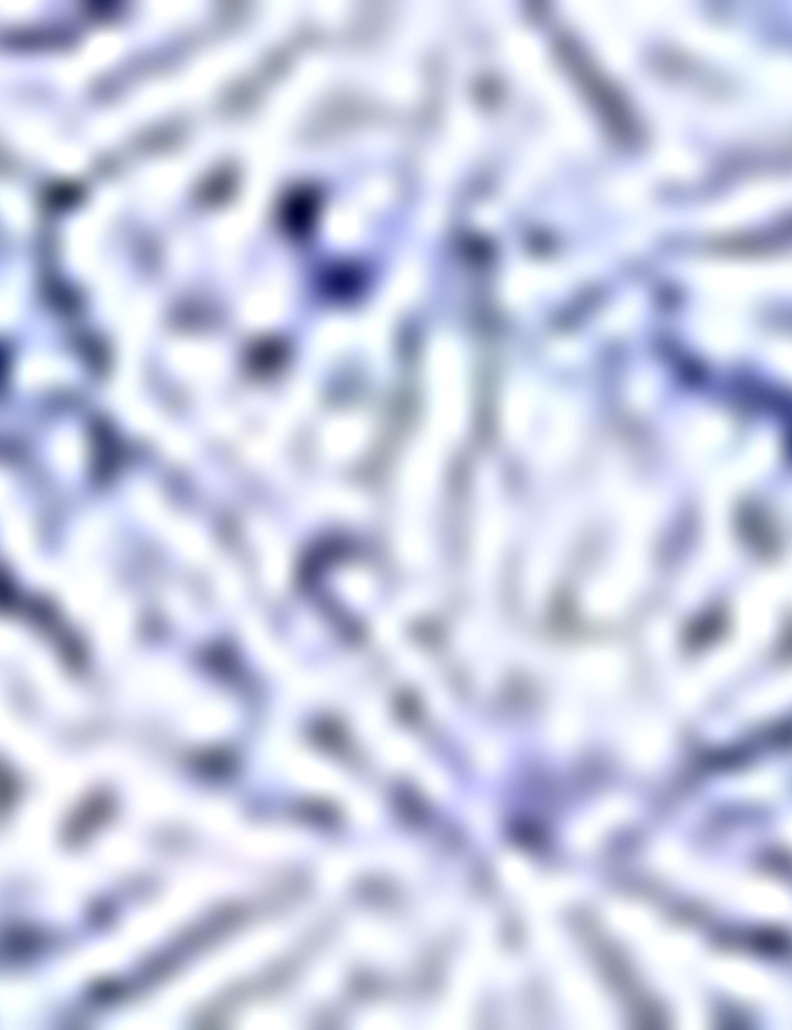 Mavi Slim Fit Uzun Kollu Gömlek