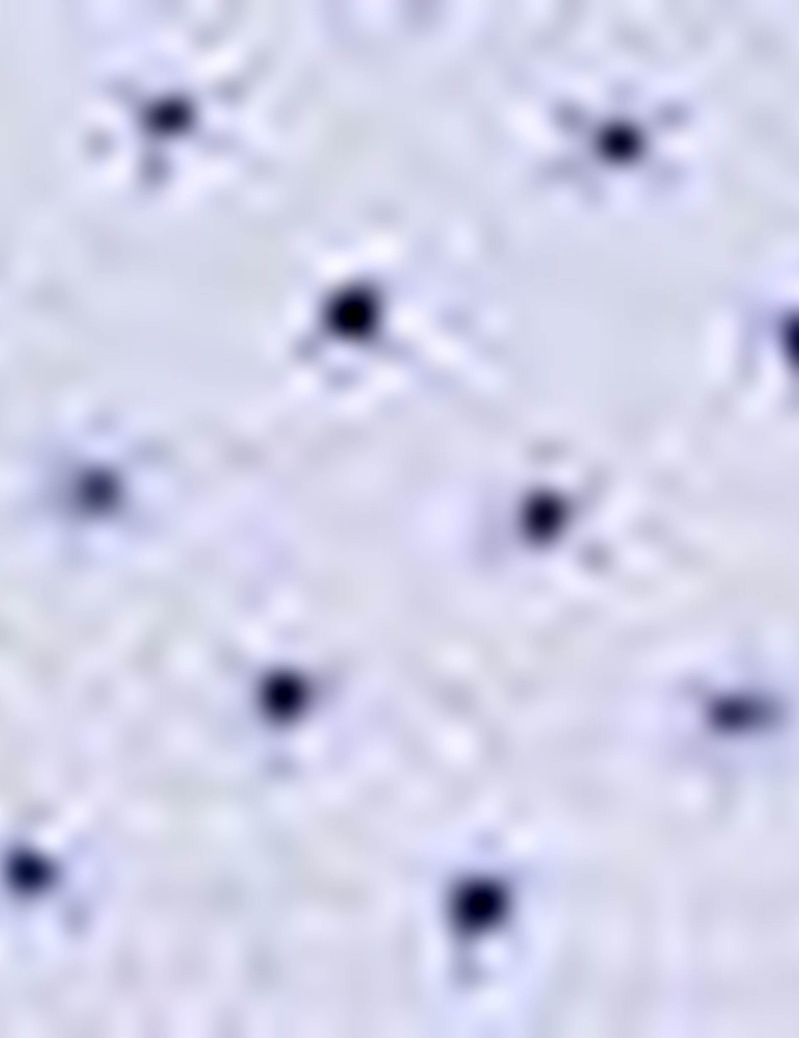 Açık Mavi Regular Fit Uzun Kollu Gömlek