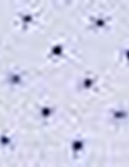 Açık Mavi Regular Fit Uzun Kollu Gömlek - 50203452006