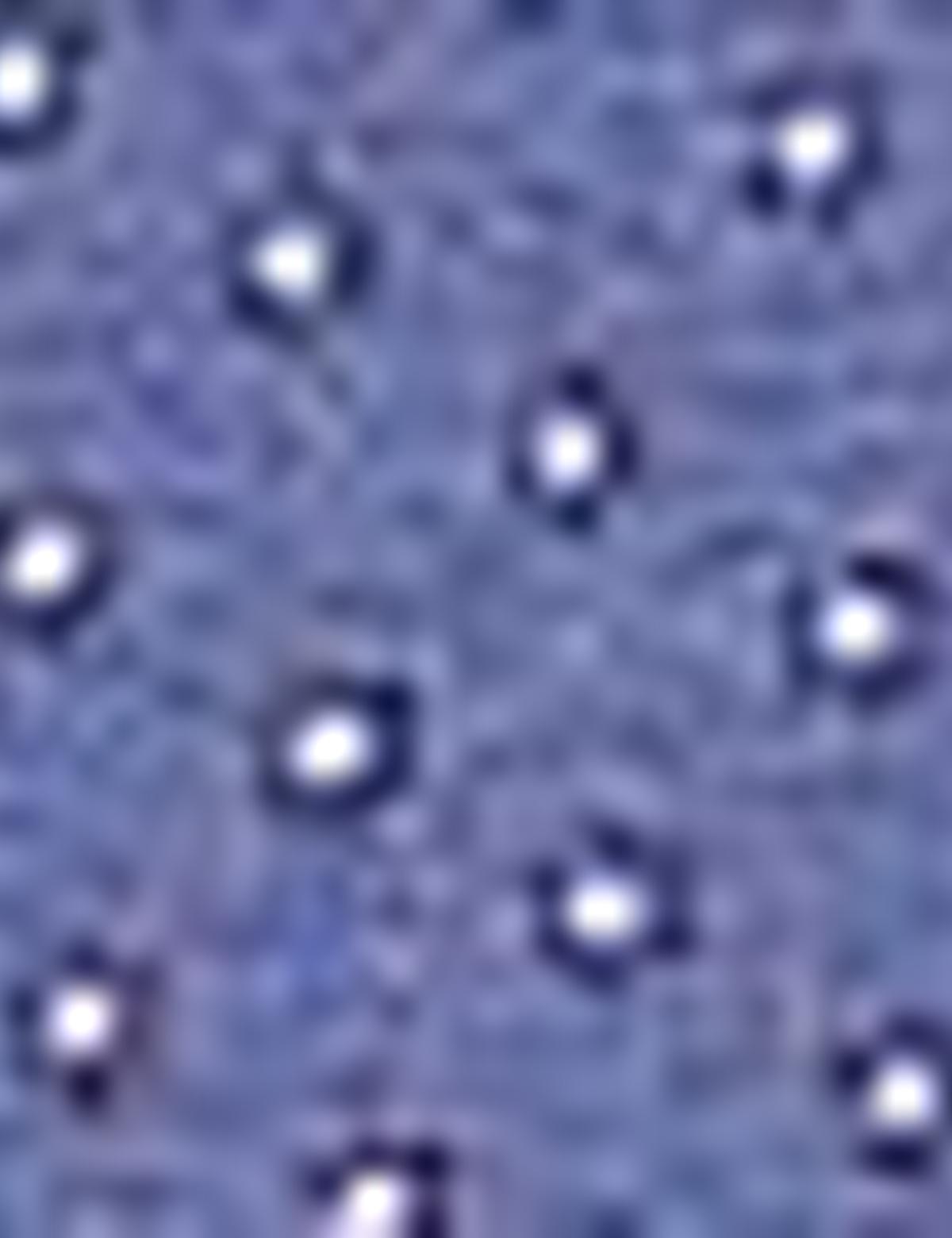 Lacivert Regular Fit Uzun Kollu Gömlek - 50203452015