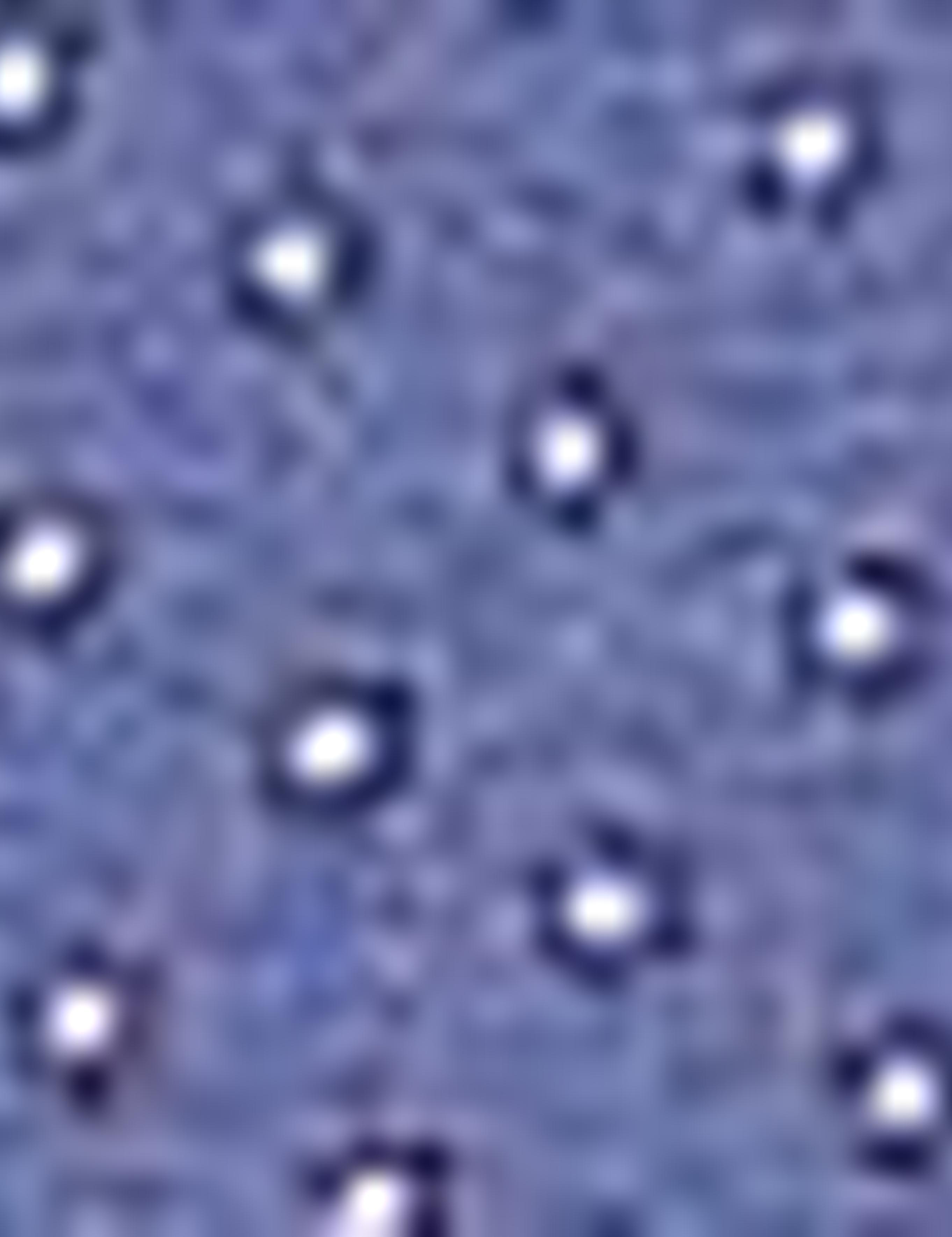 Lacivert Regular Fit Uzun Kollu Gömlek