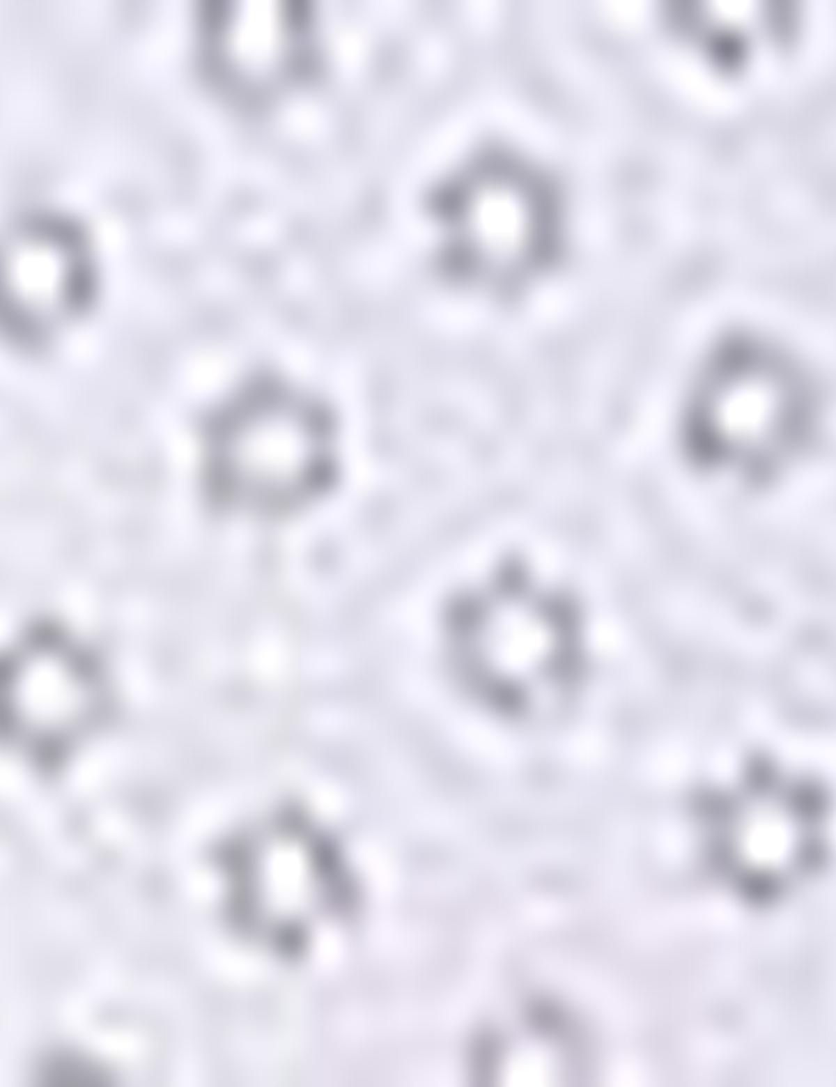 Bej Regular Fit Gömlek - 50203452019