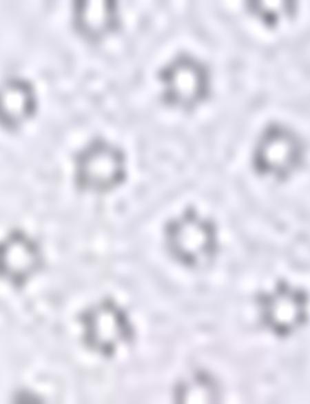 Bej Regular Fit Gömlek - 50203452019