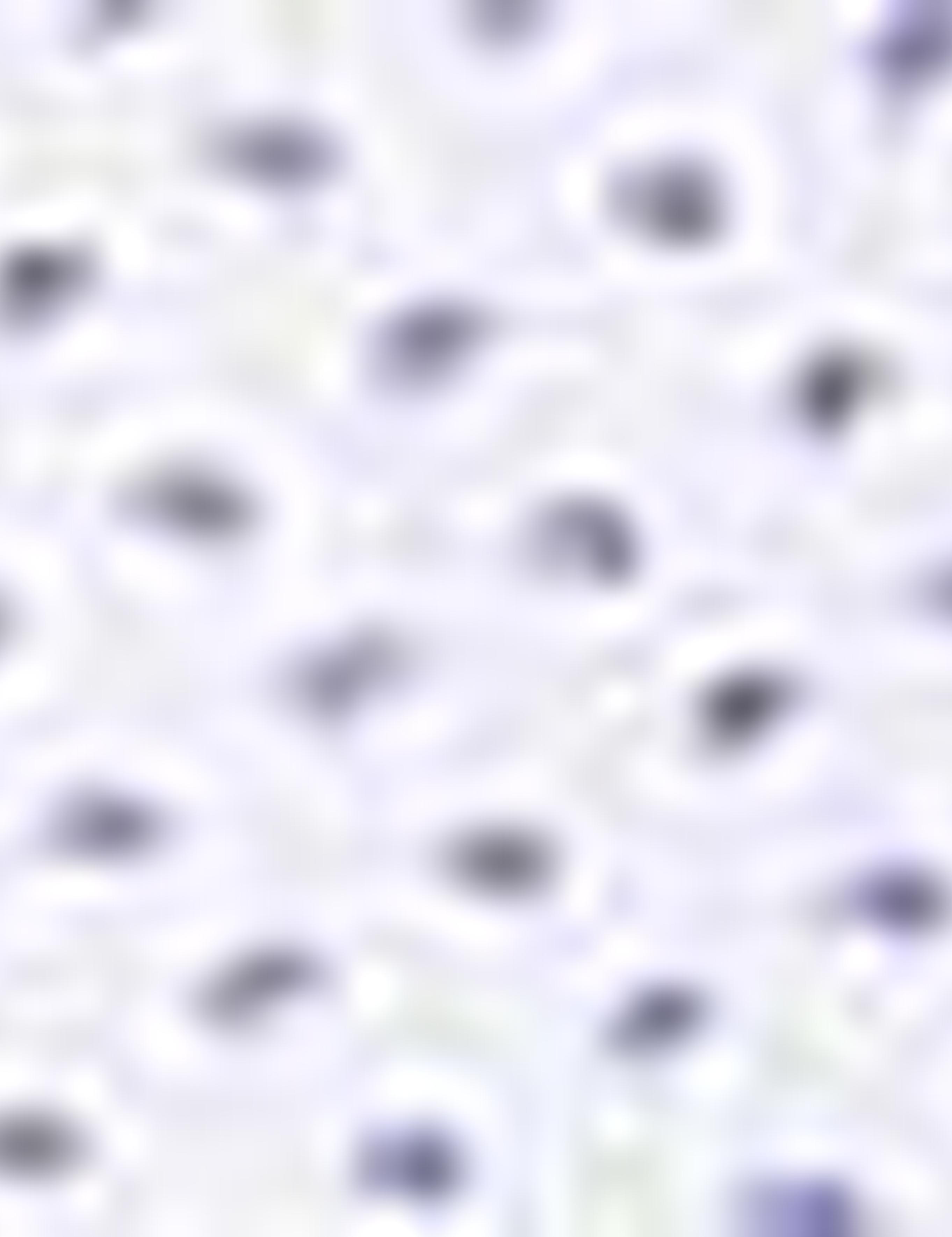 Beyaz Slim Fit Gömlek