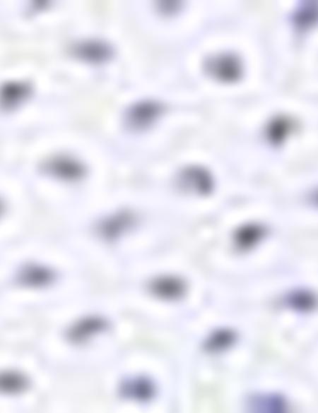 Beyaz Slim Fit Gömlek - 50203477001