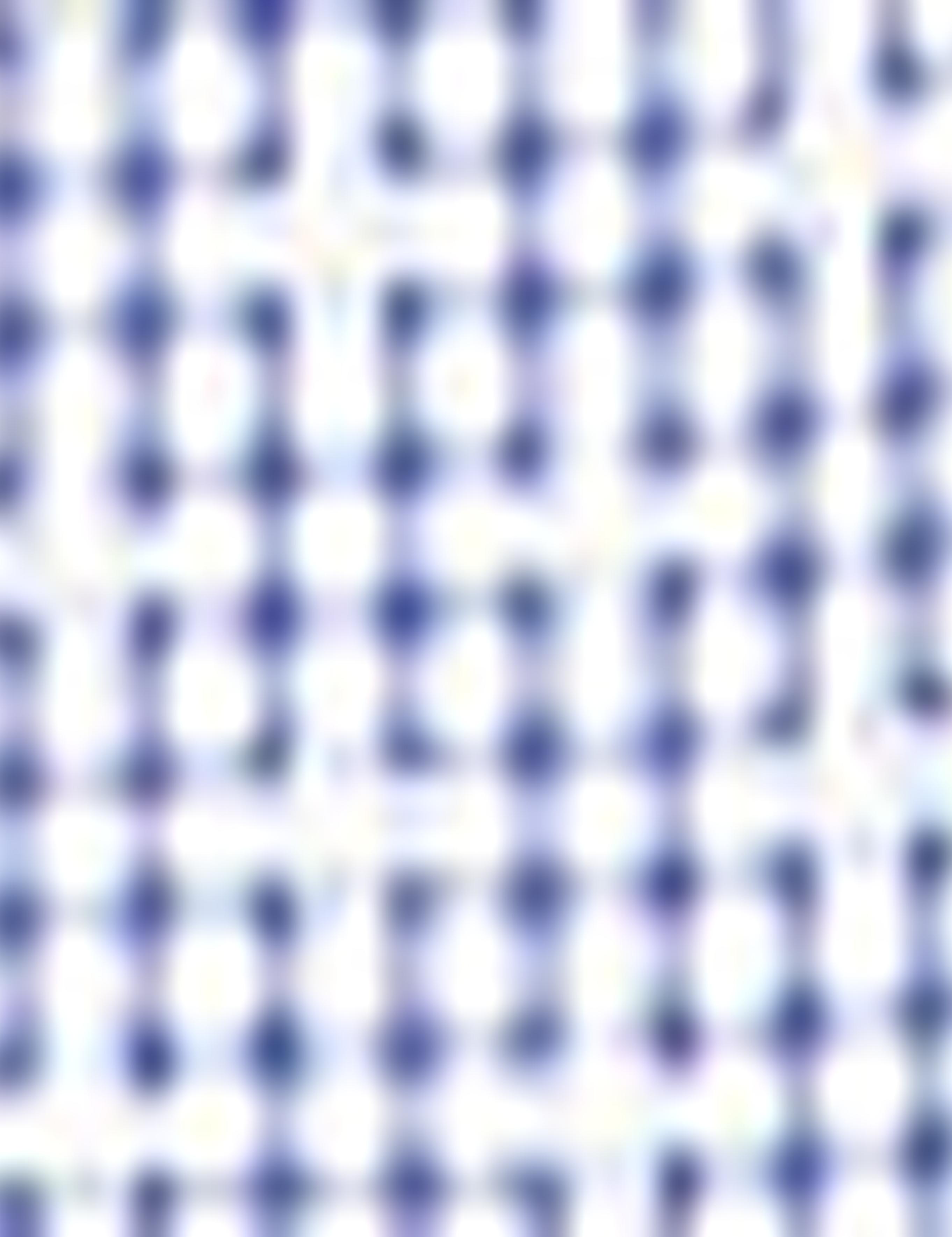 Mavi Slim Fit Gömlek