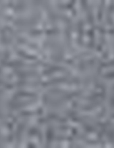 Gri Denim Pantolon - 50204505004