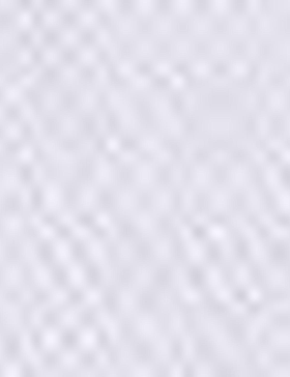 Taş Slim Fit Bermuda Şort - 50204584038