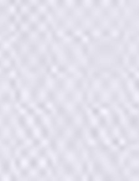 Taş Slim Fit Bermuda Şort - 50204584038