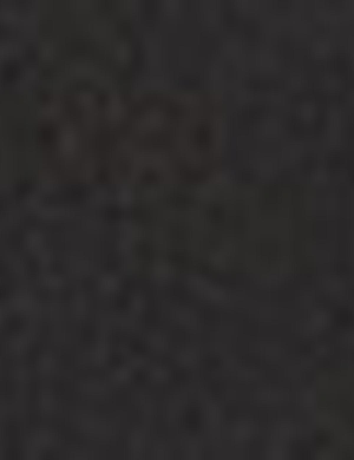 Siyah Regular Fit Kısa Kollu Gömlek - 50204595021